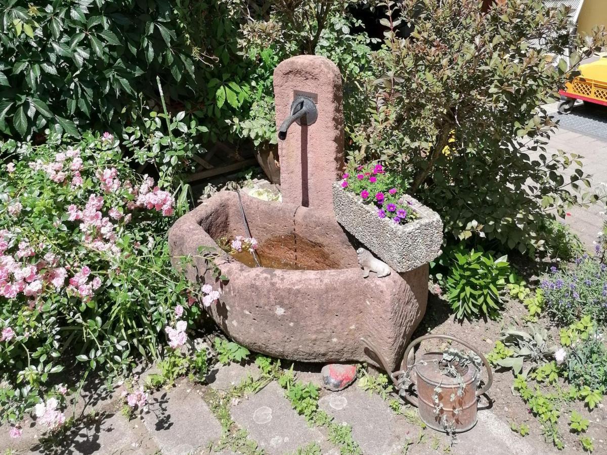 Jogis Ferienwohnungen Freiburg im Breisgau Ngoại thất bức ảnh